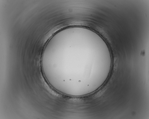 X0000111791033200908131407