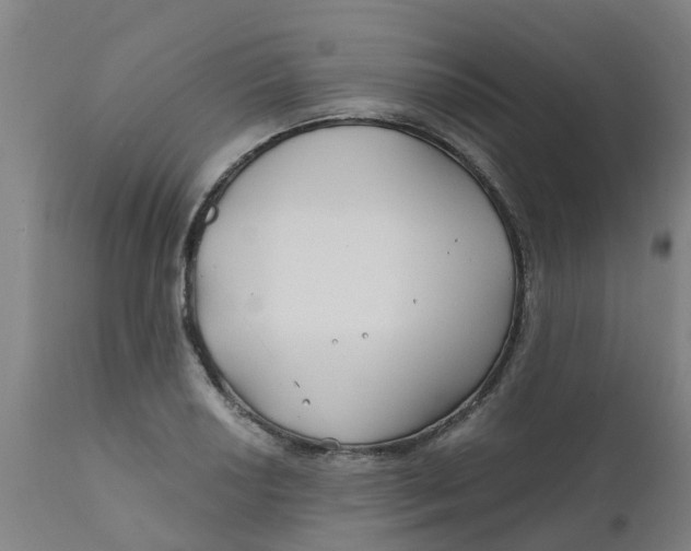 X0000111791034200908131407