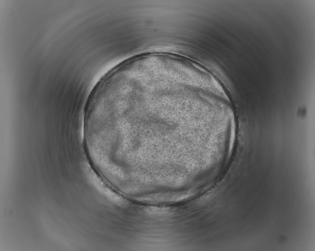 X0000111791036200908131407