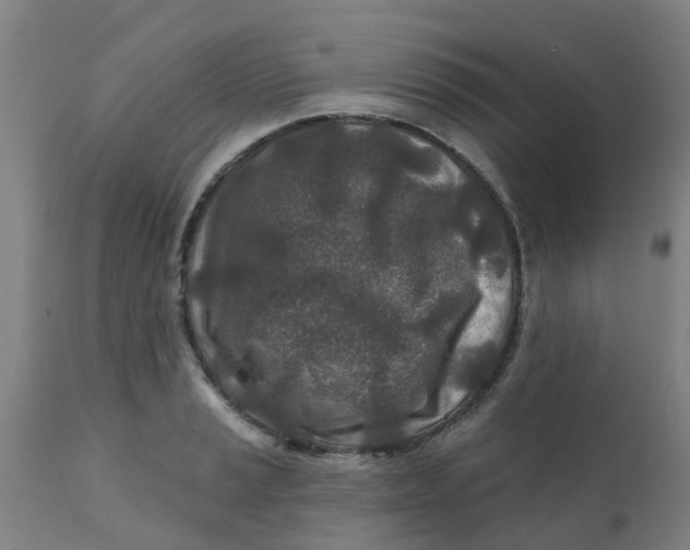 X0000111791037200908131407