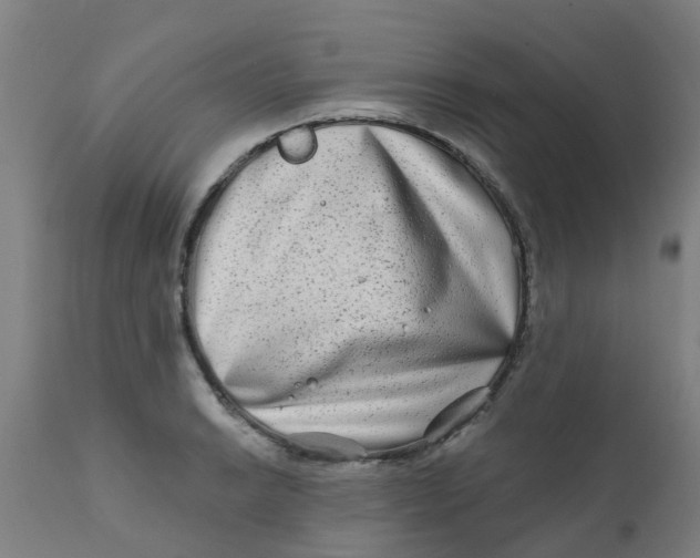 X0000111791038200908131407