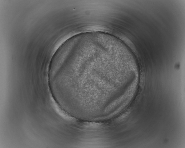 X0000111791039200908131407