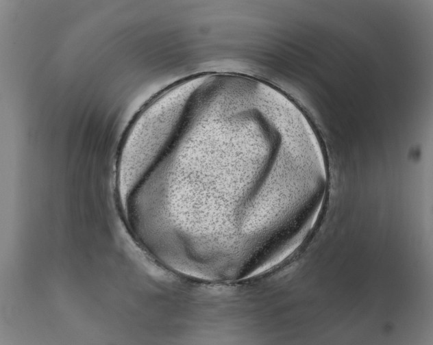 X0000111791040200908131407