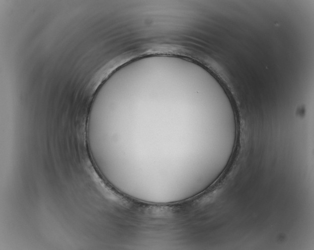 X0000111791041200908131407