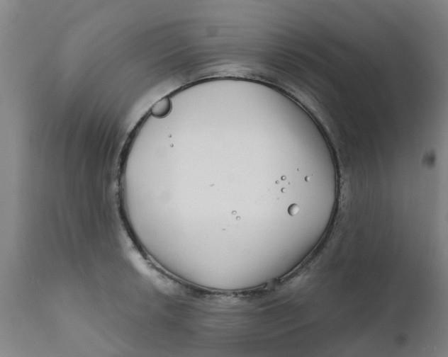 X0000111791042200908131407