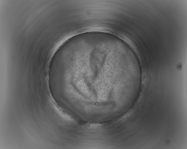 X0000111791043200908131407