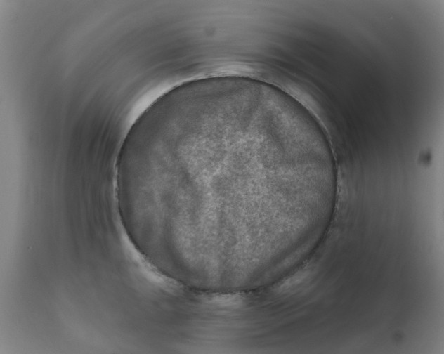 X0000111791047200908131407