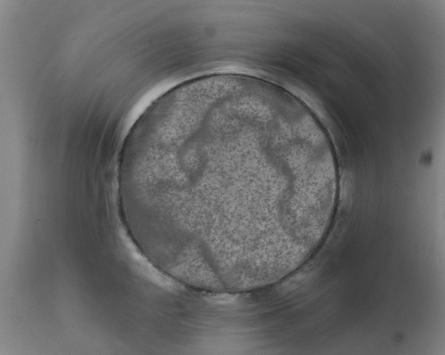 X0000111791048200908131407