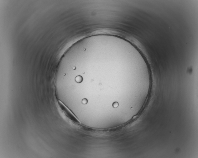 X0000111791049200908131408