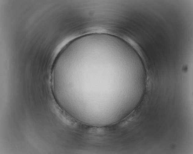 X0000111791051200908131408