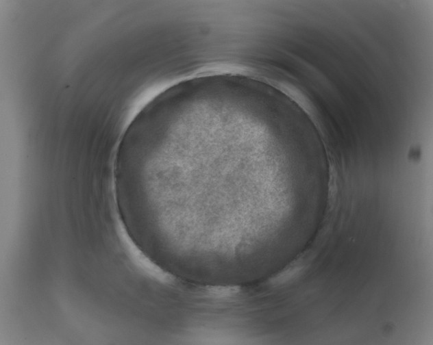 X0000111791055200908131408