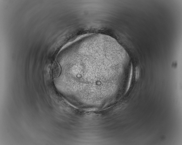 X0000111791059200908131407