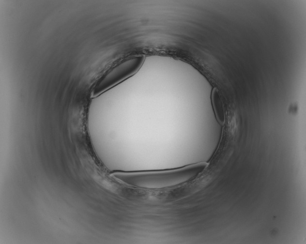 X0000111791060200908131407