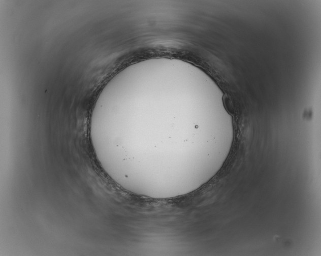 X0000111791061200908131407