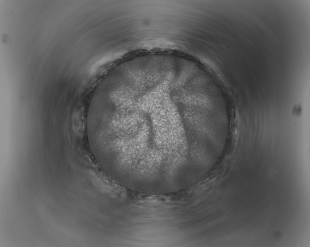 X0000111791063200908131407