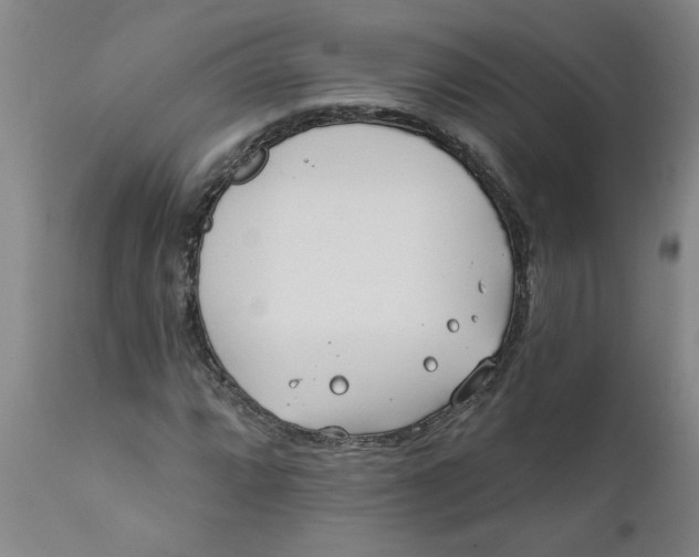 X0000111791064200908131407