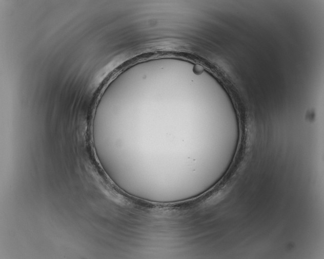 X0000111791065200908131407