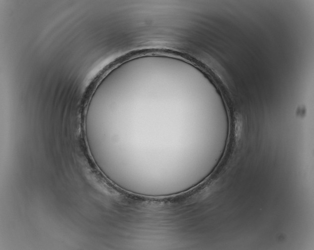 X0000111791069200908131407