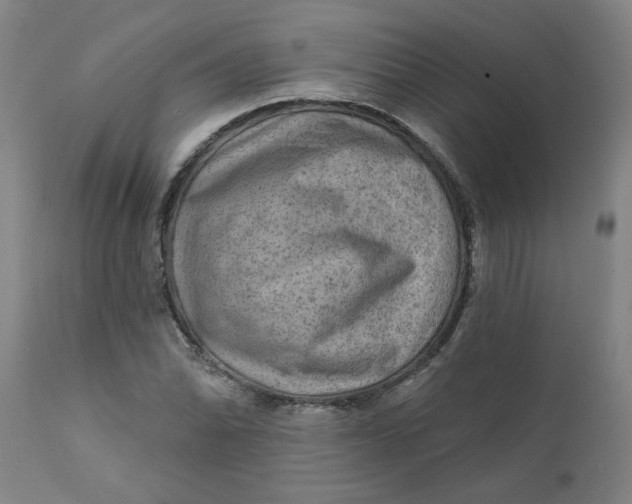 X0000111791070200908131407