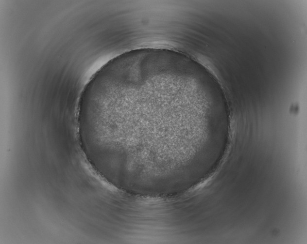 X0000111791071200908131407