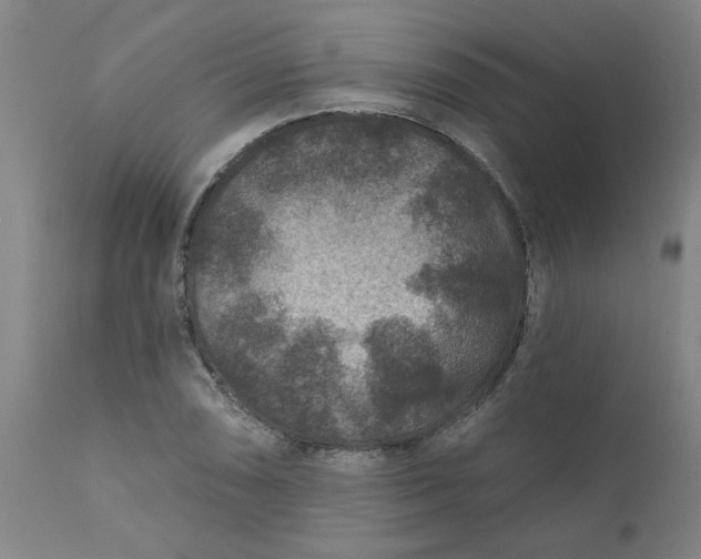 X0000111791074200908131407