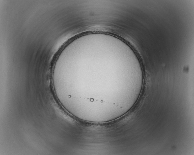 X0000111791075200908131407