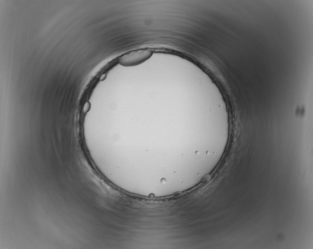 X0000111791076200908131407