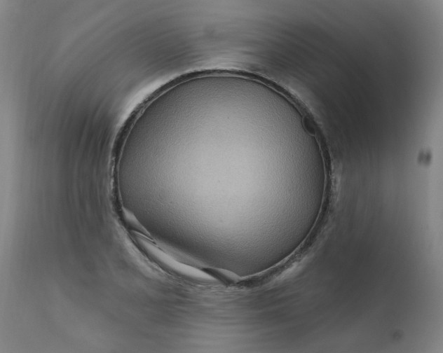 X0000111791077200908131407