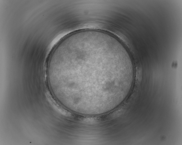 X0000111791078200908131407