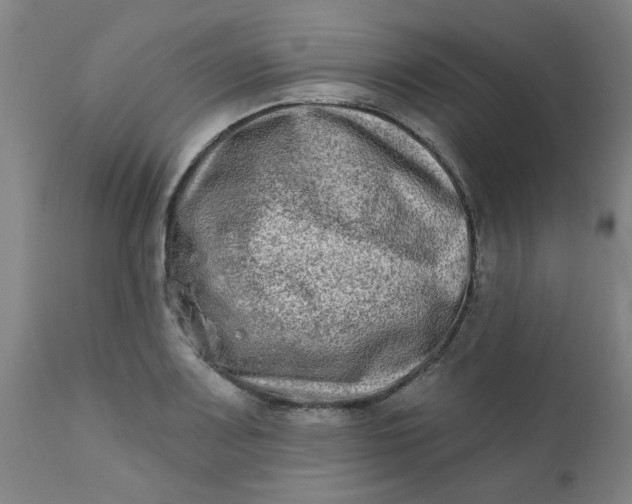 X0000111791083200908131406