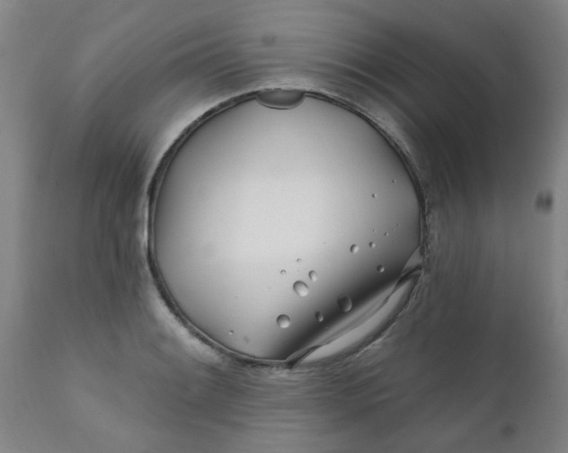 X0000111791084200908131406