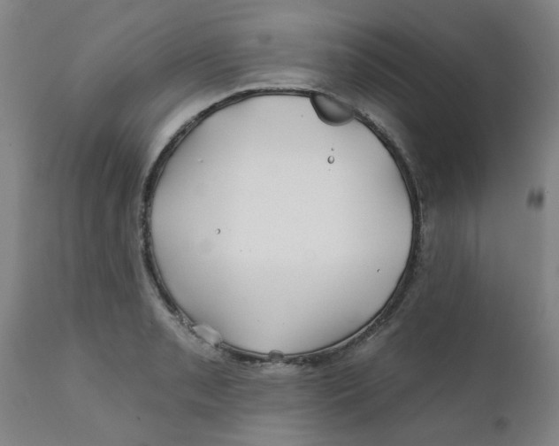 X0000111791085200908131406