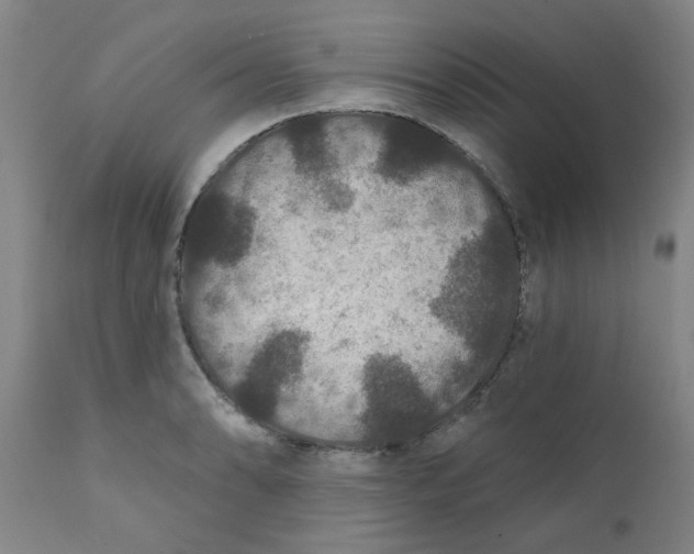 X0000111791086200908131406