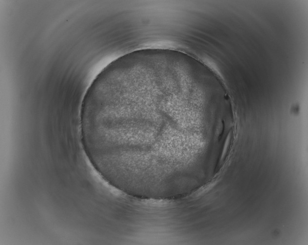 X0000111791087200908131406