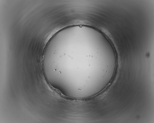 X0000111791089200908131406