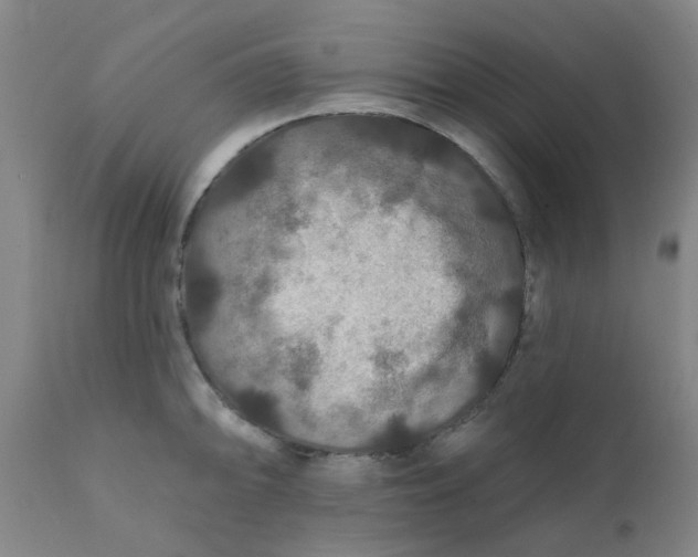 X0000111791094200908131406