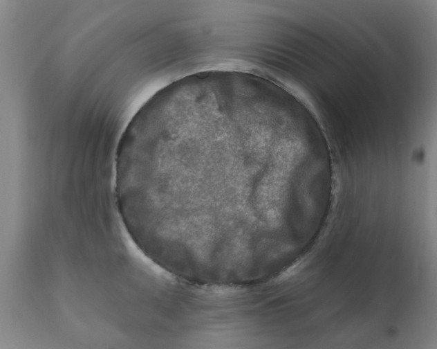 X0000111791095200908131406