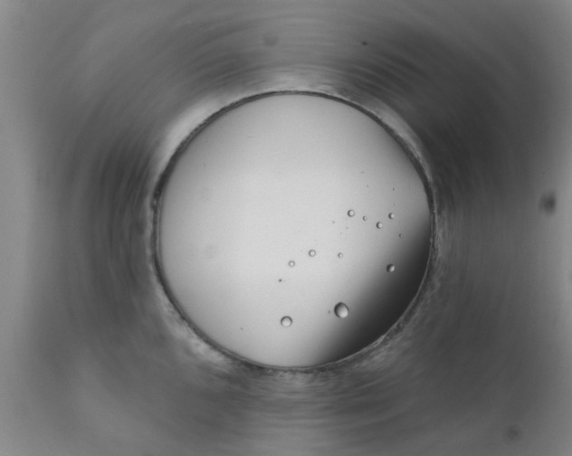 X0000111791096200908131406