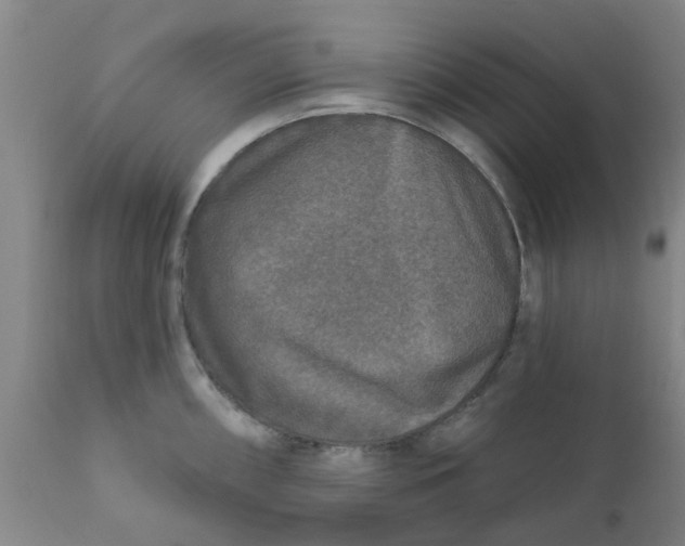 X0000111791098200908131406