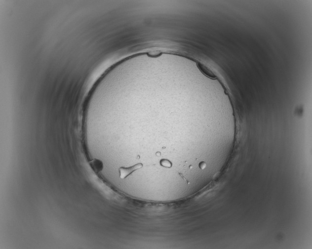 X0000111791099200908131406