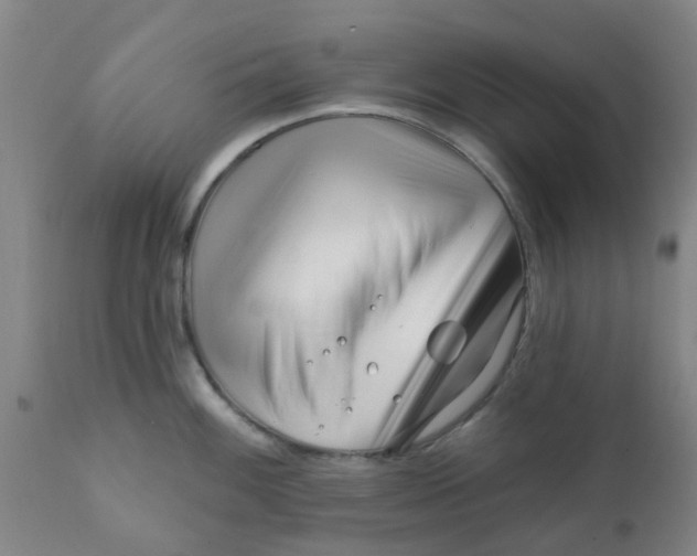 X0000111791100200908131406