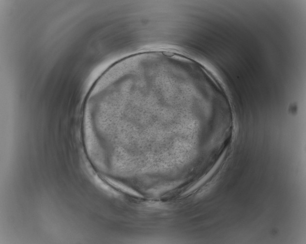 X0000111791102200908131406