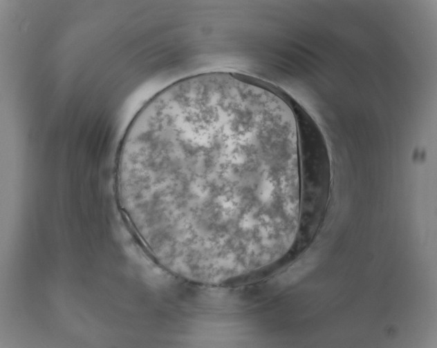 X0000111791104200908131406