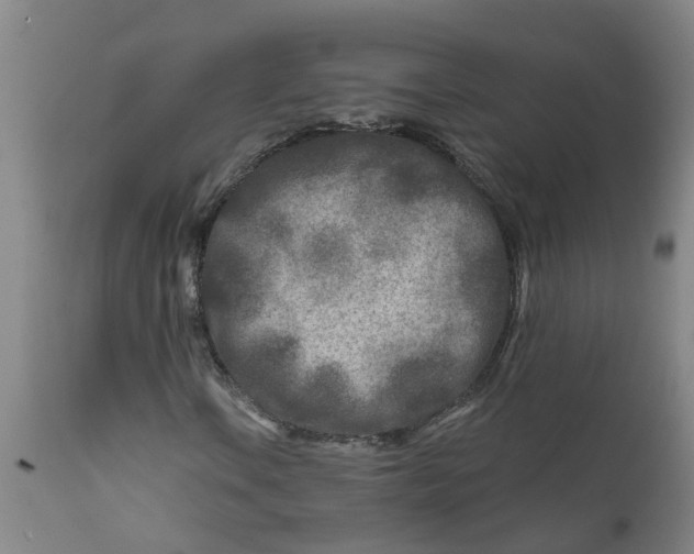 X0000111791106200908131405