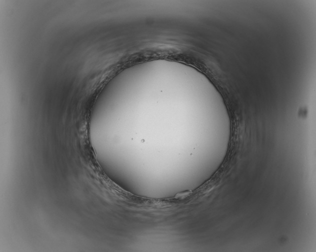 X0000111791109200908131405