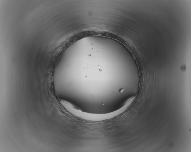 X0000111791110200908131405