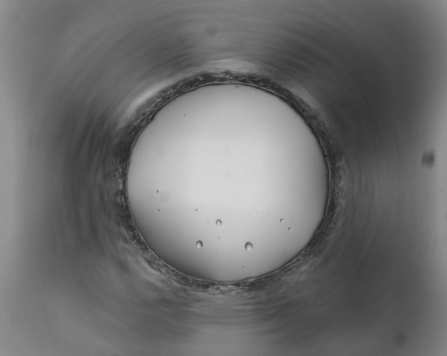 X0000111791112200908131405