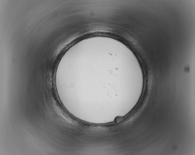 X0000111791113200908131405