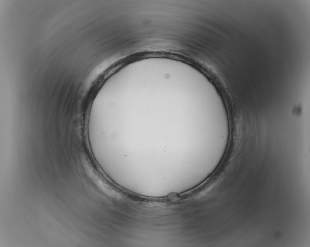 X0000111791114200908131405