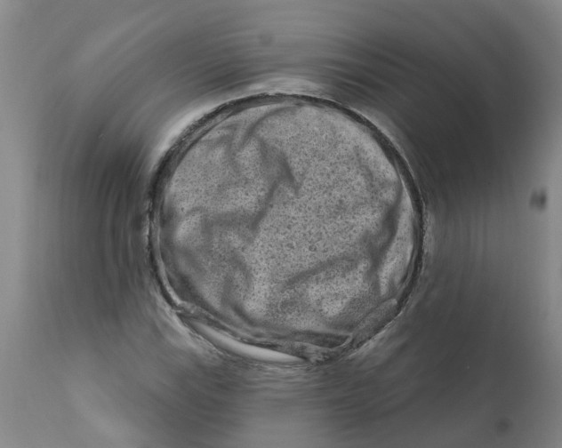 X0000111791115200908131405